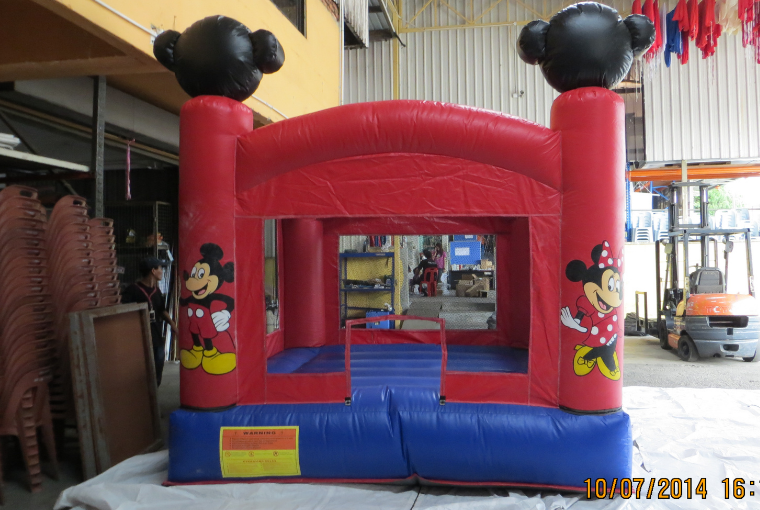 Mickey Mouse House