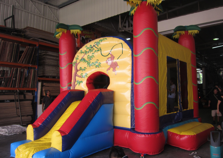 Tree House Slide